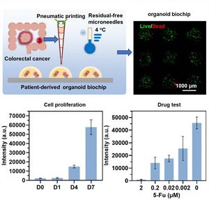 Printable and biocompatible hydrogels for residual-free and high-throughput printing patient-derived organoid biochips