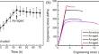 High Strength and Heat Resistance of Low-RE-Containing Mg Alloy Achieved via Substantial Dynamic Precipitates