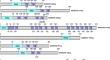 Role of MARCH E3 ubiquitin ligases in cancer development.