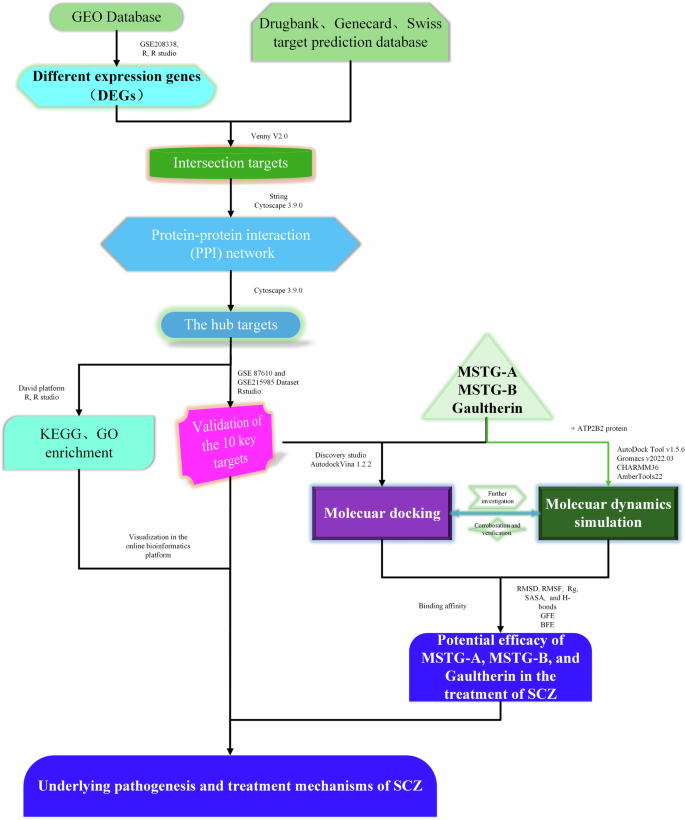 Exploration on the potential efficacy and mechanism of methyl salicylate glycosides in the treatment of schizophrenia based on bioinformatics, molecular docking and dynamics simulation.