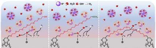 Modulating Surface Cation Concentration via Tuning the Molecular Structures of Ethylene Glycol-Functionalized PEDOT for Improved Alkaline Hydrogen Evolution Reaction