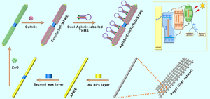 Dual near-infrared AgInS2 and CuInS2 co-sensitized ZnO photoelectrode array enabled paper-based ratiometric photoelectrochemical aptasensing