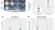 Inter- and intra-specific metal tolerance variation in ectomycorrhizal fungal Suillus species.