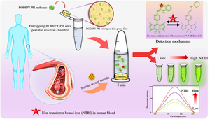 Quantifying non-transferrin-bound iron (NTBI) in human plasma: incorporating BODIPY-pyridylhydrazone (BODIPY-PH) within a thin green film linked to a portable fluorescence-based device.