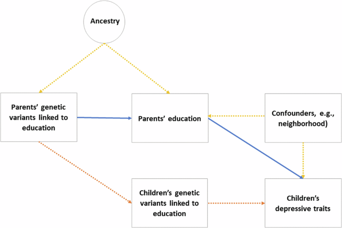 Parental education and children's depression, anxiety, and ADHD traits, a within-family study in MoBa.