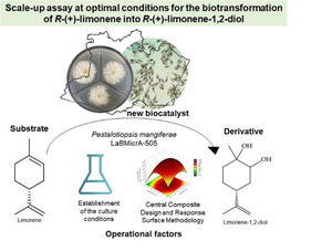 Investigation into the effect of the culture conditions and optimization on limonene-1,2-diol production from the biotransformation of limonene using Pestalotiopsis mangiferae LaBMicrA-505.