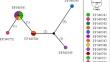 Mycotoxigenic Fusarium species and zearalenone concentration in commercial maize kernels in northern Ghana.