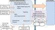 The synchronic and diachronic evolution of key themes around SDG 4 before and after 2015: From a quantitative analysis of web-downloaded texts