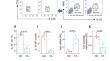 Regulation of Tert methylation alleviates food allergy via regulating the Tert-IL10 signal pathway.