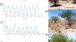 Physiological, transcriptomic and metabolomic insights of three extremophyte woody species living in the multi-stress environment of the Atacama Desert.