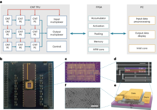 A carbon-nanotube-based tensor processing unit