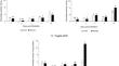 Functional characterisation of cell wall-associated β-glucanases and peroxidase induced during wheat-Diuraphis noxia interactions