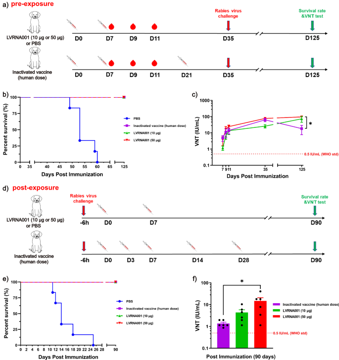 Safety and efficacy assessment of an mRNA rabies vaccine in dogs, rodents, and cynomolgus macaques.