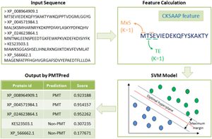 PMTPred: machine-learning-based prediction of protein methyltransferases using the composition of k-spaced amino acid pairs