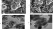 Detection of melamine in infant milk powder by micro-Raman spectroscopy using biosynthesized zinc oxide nanoparticles