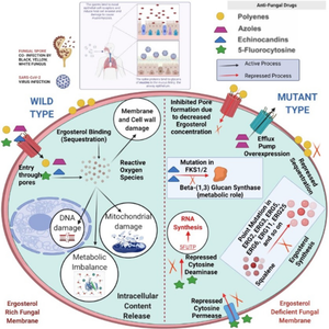 Plausible mechanism of drug resistance and side-effects of COVID-19 therapeutics: a bottleneck for its eradication.