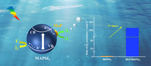 Enhancing the photocatalytic hydrogen evolution activity of hybrid perovskite via coupling molybdenum phosphide cocatalyst