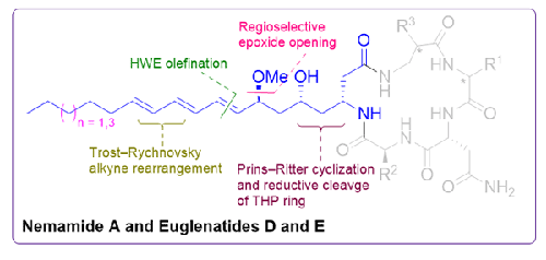 Stereoselective Synthesis of Polyketide Segments of Nemamide A and Euglenatides D-E