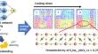 Deep-learning enabled atomic insights into the phase transitions and nanodomain topology of lead-free (K,Na)NbO3 ferroelectrics