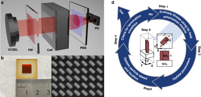 Metasurface-integrated elliptically polarized laser-pumped SERF magnetometers.