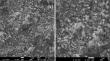 Novel Pd(II) complex of Schiff base encapsulated on ferrite–titania core [Pd@SB/Fe3O4–TiO2]: a recyclable nanocatalyst for Suzuki coupling and hydrogenation of aromatic nitro compounds