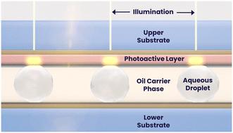 A programmable and automated optical electrowetting-on-dielectric (oEWOD) driven platform for massively parallel and sequential processing of single cell assay operations†