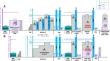 Adding a sustained attention task to a physically demanding cycling exercise exacerbates neuromuscular fatigue and impairs cognitive performance in both normoxia and hypoxia.