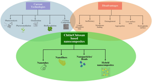 Advancing wastewater treatment: chitin and derivatives for PPCP contaminant mitigation