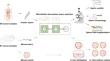 Microfluidic thermotaxic selection of highly motile sperm and in vitro fertilization