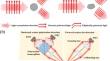 Measurements of the Optical Scattering Properties of Single Suspended Particles and Implications for Atmospheric Studies: A Review