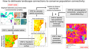 Integrating habitat suitability modeling with gene flow improves delineation of landscape connections among African savanna elephants