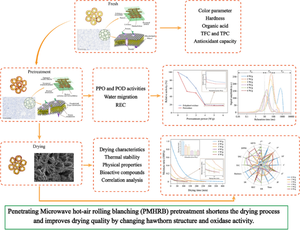 Effects of Penetrating Microwave Hot-Air Rolling Blanching Pretreatment for the Drying of Hawthorn Slices: Evaluation of Enzyme Activity, Drying Characteristics, Moisture Migration, Microstructure, and Quality Attributes