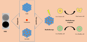 Gd-GQDs as nanotheranostic platform for the treatment of HPV-positive oropharyngeal cancer.