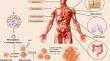 Microplastics - A Growing Concern as Carcinogens in Cancer Etiology: Emphasis on Biochemical and Molecular Mechanisms.