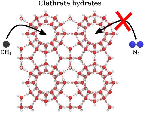 Selectivity of N2–CH4 Mixed Clathrate Hydrates: A Grand Canonical Monte Carlo Study