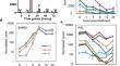 Possible roles of immunity-related response in modulating chlorosis induced by the silencing of chloroplast HSP90C in tobacco models