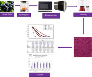 Comparison of physicochemical and biochemical analysis of aronia powders conversed by microwave and hybrid systems