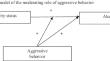 Sexual Minority Identity and Risky Alcohol Use: the Moderating Role of Aggressive Behavior.