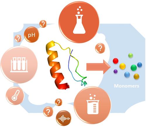 Challenges in Peptide Solubilization – Amyloids Case Study