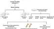 Multiple Exposures to Sevoflurane General Anesthesia During Pregnancy Inhibit CaMKII/CREB Axis by Downregulating HCN2 to Induce an Autism-Like Phenotype in Offspring Mice