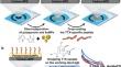 Development of an Electrochemical Biosensor for Tetrodotoxin Using Specific Binding Peptide on Polypyrrole/Au Nanoparticle-Modified Electrodes