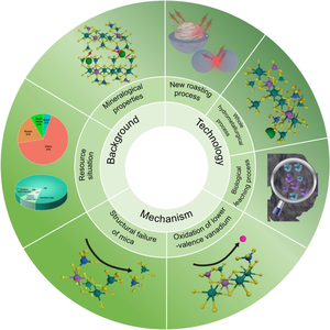 A review of mechanism and technology of vanadium extraction from strategic mineral black shale