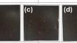 Enhancing the Bio-epoxy Composites with Oil Palm Fibre as Reinforcement: Assessment of Mechanical, Physical and Thermal Properties