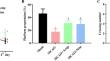 Acupuncture Therapy Modulating "Du" Channel Attenuates Ischemic Stroke-induced Disorders by Modulating REST-mediated miR-21/PDCD4 Signaling Transduction.