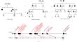 Phenotypic variability related to dominant UCHL1 mutations: about three families with optic atrophy and ataxia.