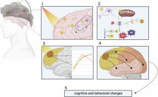 Transcranial photobiomodulation: an emerging therapeutic method to enhance brain bioenergetics.