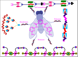 The Hamilton Receptor in Supramolecular Polymer Sciences.