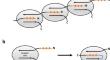 1H, 13C and 15N assignment of self-complemented MrkA protein antigen from Klebsiella pneumoniae