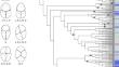 More of almost the same: novel pollen descriptions uncover subtle morphological variation in Mimosa L. (Leguminosae, Mimoseae)