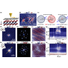 Atomic-level precision creation and manipulation of interfacial Se chemisorbates in graphene/WSe2 heterostructures